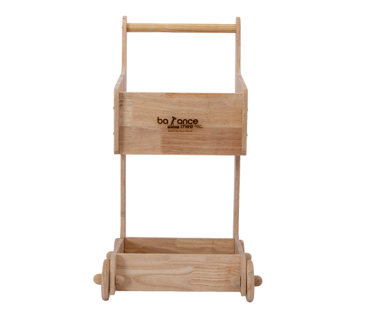 Kids shopping cart 2