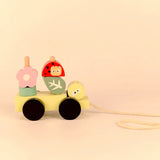 Forest Pull toy 1/pk