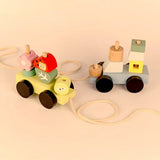 Forest Pull toy 1/pk
