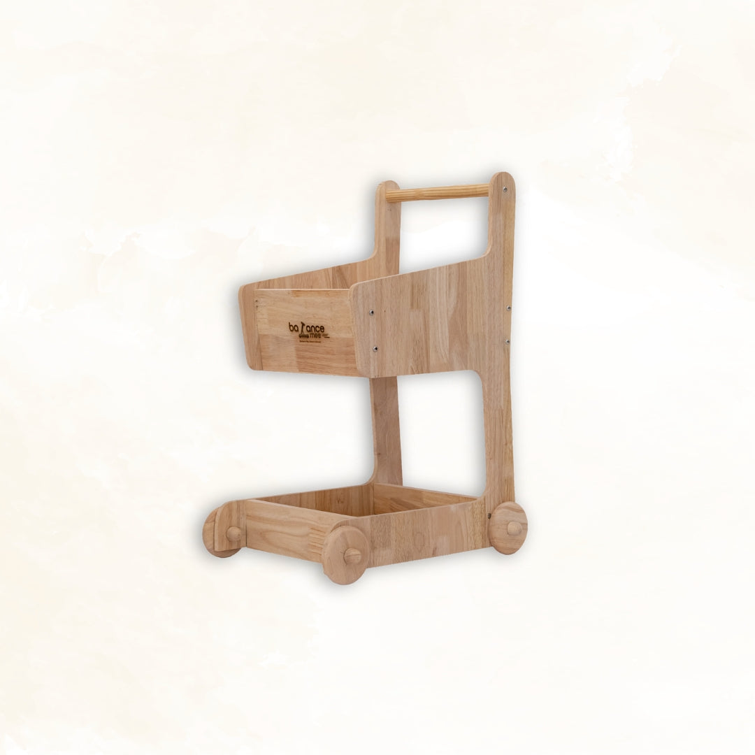 Kids shopping cart 2