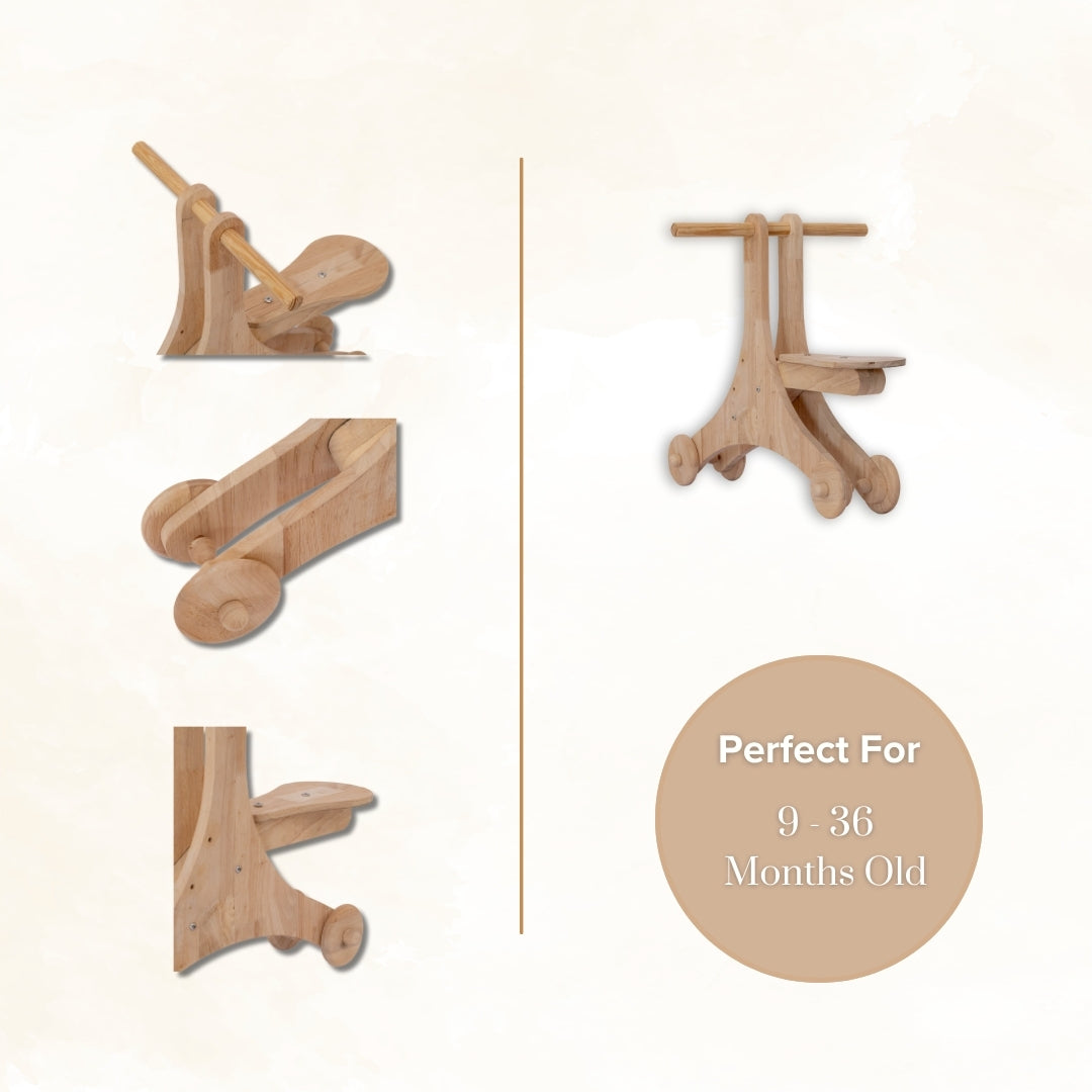 2-in-1 Walker Cum Cycle