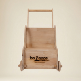 Kids go car walker — Coordination Push Car